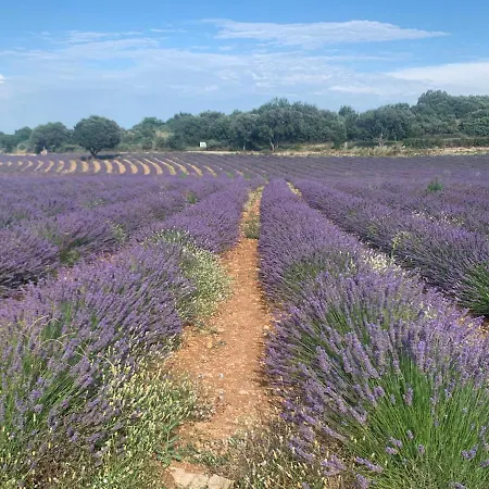 D'hôtes Avec Climatisation Et Terrasse Privée Saint Alban Auriolles